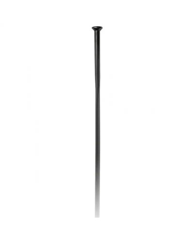 DT Swiss Aerolite Raggio di Ricambio 294 mm, Nero (Raggio Singolo)