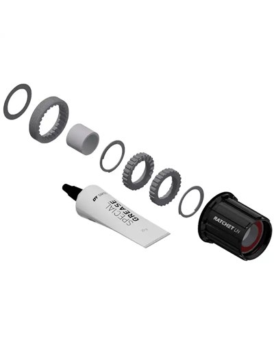 DT Swiss Kit Conversione Mozzo Posteriore MTB da 3 Cricchetti a Ratchet LN (Shimano HG Alluminio)