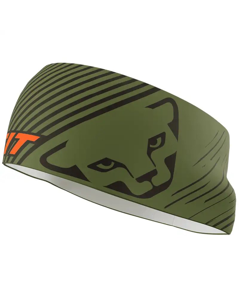Dynafit Graphic Performance Headband Fascia Frontale, Winter Moss/4490 Striped (58 Taglia Unica)
