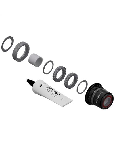 DT Swiss Kit Conversione Mozzo Posteriore MTB da 3 Cricchetti a Ratchet LN (Sram XD Alluminio)