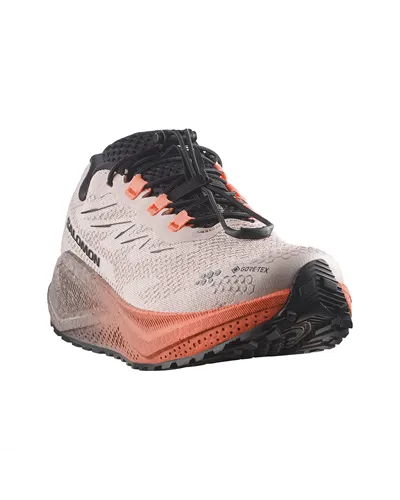 Salomon Aero Blaze 4 GRVL GTX Gore-Tex Scarpe Trail Running Donna, Rainy Day/Black/Nectarine