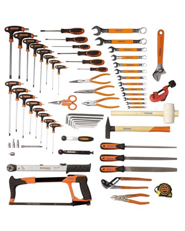 Bicisupport Tools Set 81Pcs (From Item 600 To 658) With Hexagonal And Torx Wrenches With T Handle