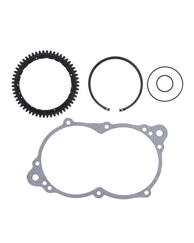 Avinox Kit ingranaggio anti-gioco per unità motore M2S