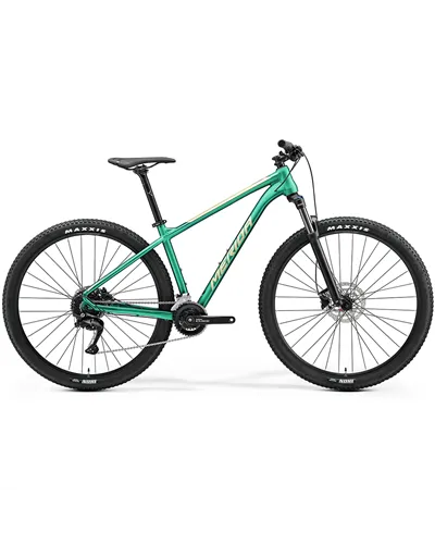 Merida Big.Nine 100 Matt Evergreen (Champagne) MY24