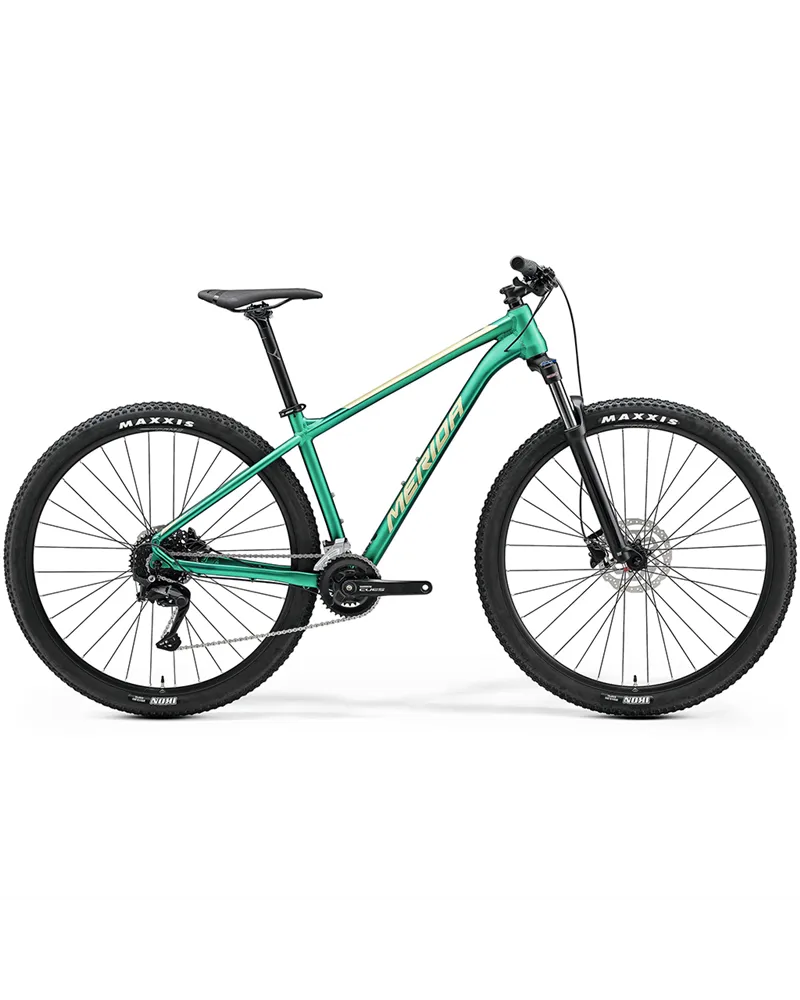 Merida Big.Nine 100 Matt Evergreen (Champagne) MY24