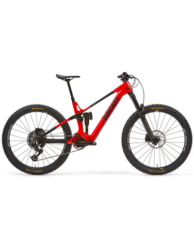 Ducati e-MTB DM-160 R 29" Carbon UD Sram Eagle 90 12v - Avinox M2S 800Wh, Matte Red/Black