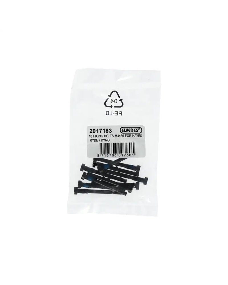 Elvedes Vite Bloccaggio Pastiglie Hayes Ryde/Dyno (10 pz)