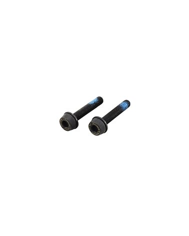 Campagnolo Pair of Bolts for Rear Flat Moun Disc Brake Caliper 29mm (for Frame with 20-24mm Chainstay Thickness)