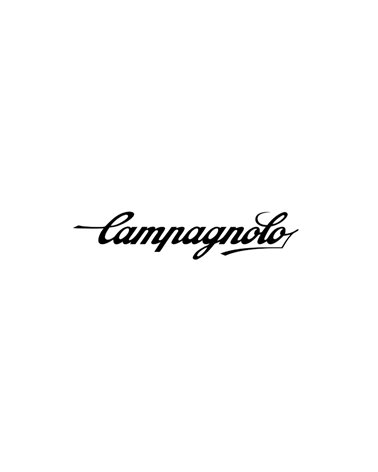 Campagnolo Chainring Super Record Wireless BCD 121mm Asymmetric 4-bolts 2X12S 48T, Black