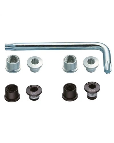 FSA Chainring Bolt Kit, Black, Double (10 Pcs)