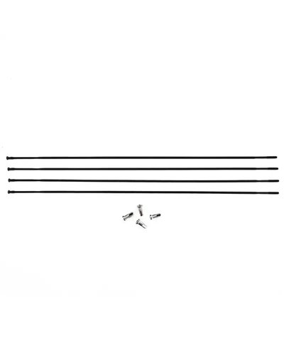 Fulcrum R3-019 Raggio e Nipplo R3 Posteriore Sinistro (4 pz)