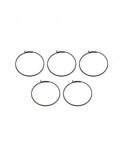 Fulcrum 5-RM0-005 Confezione 5 pz Molla per Cricchetto Ruota Libera MTB