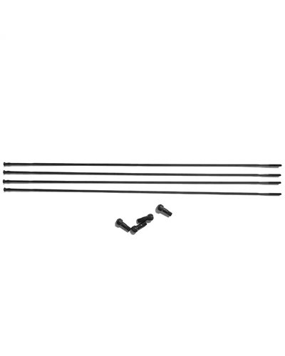 Fulcrum RS-01635 Raggio e Nipplo Racing Speed 35 Anteriore (4 pz)