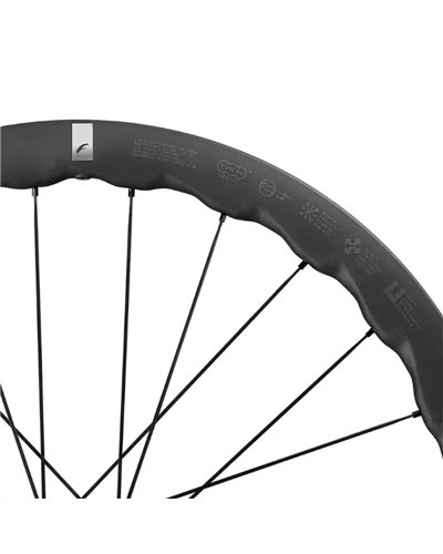Fulcrum Sharq DB AFS 2WF C25 (Wheelset)