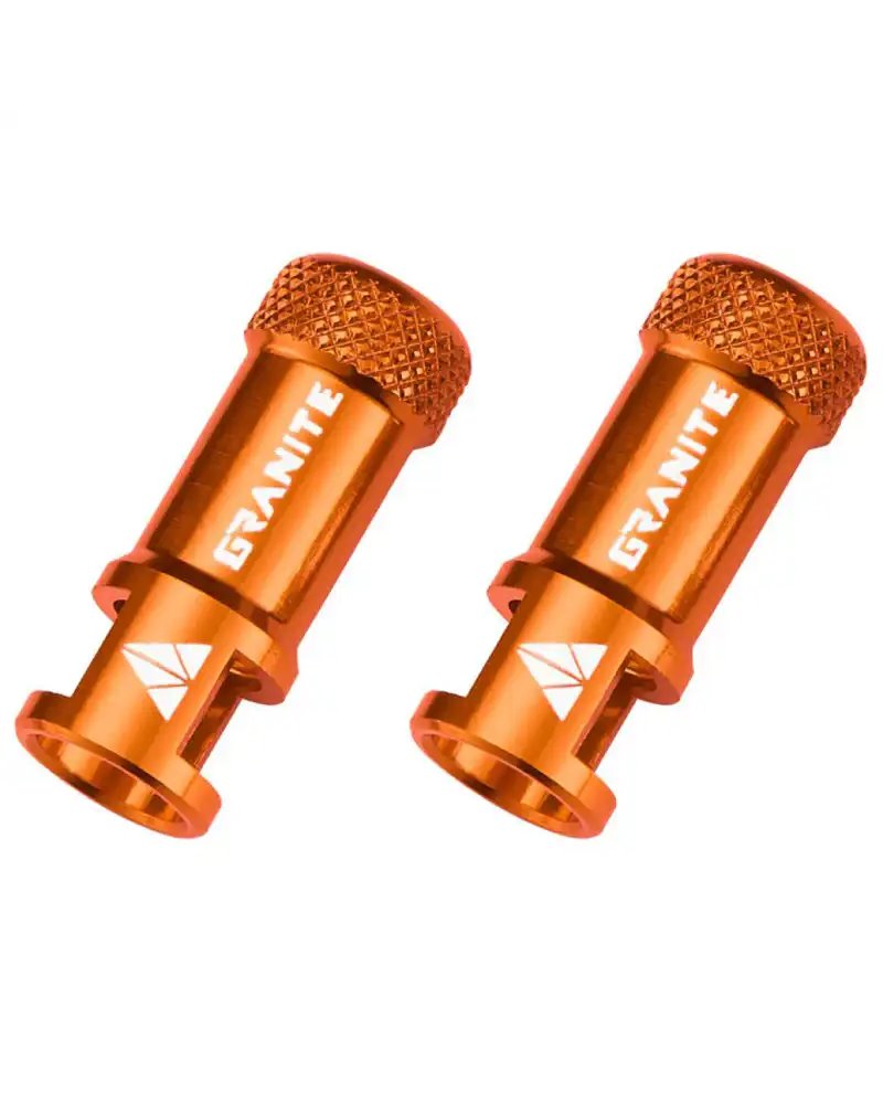 Tubeless Valve