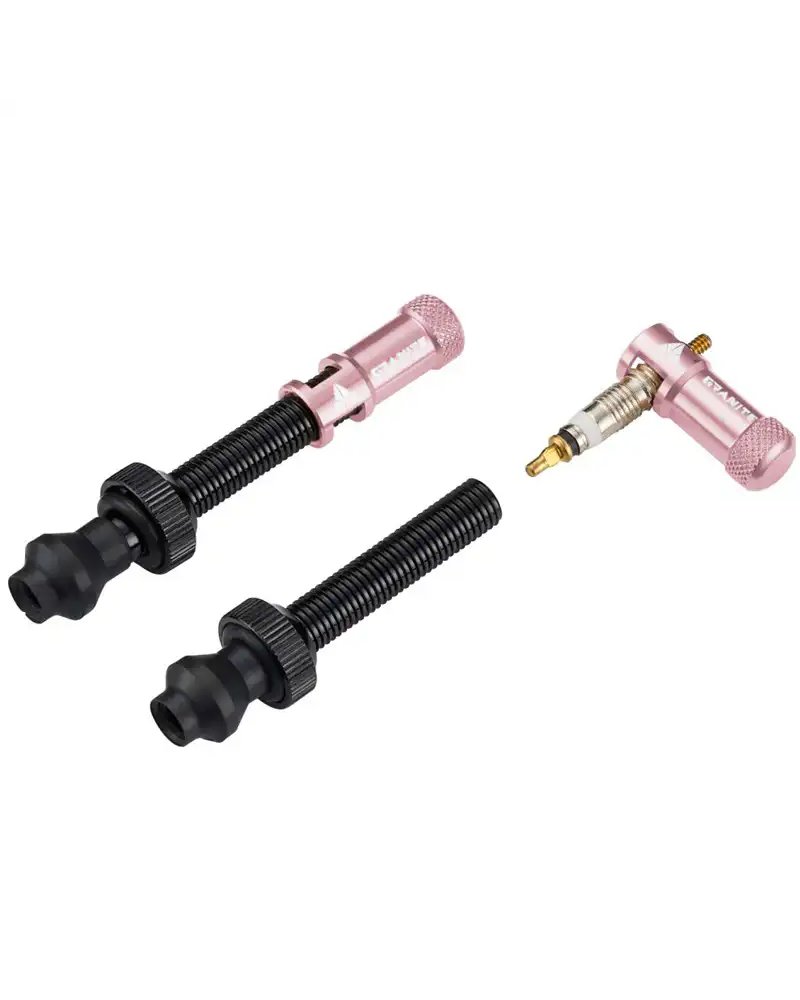 Tubeless Valve