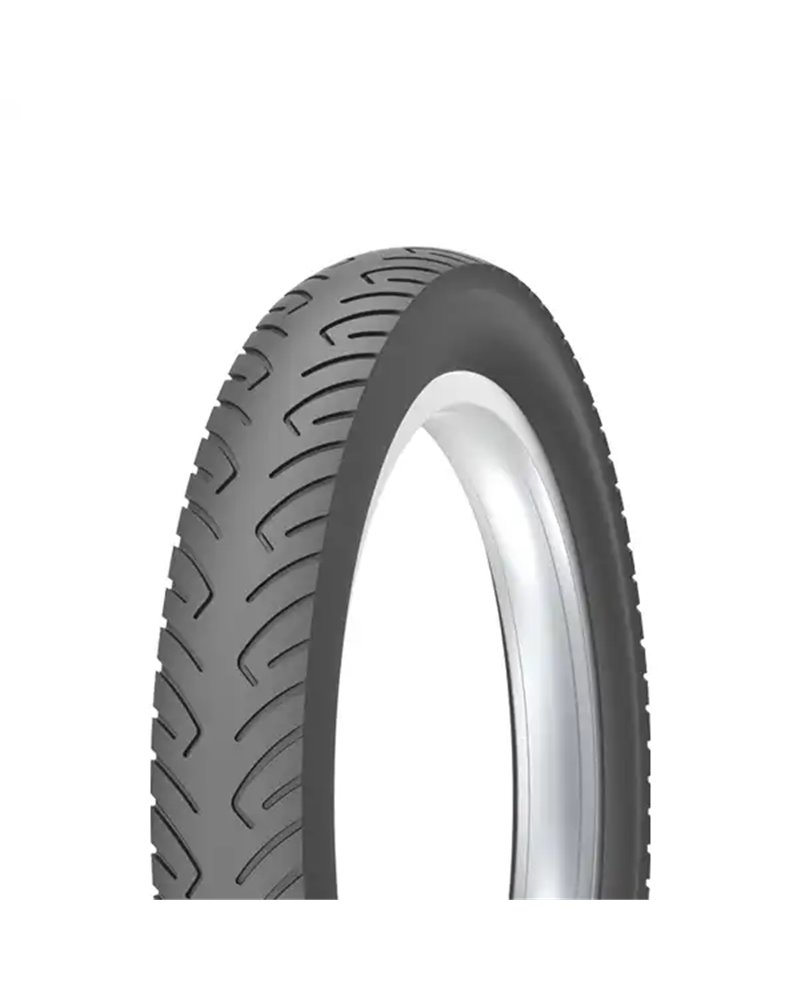 Fat Bike