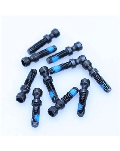 Magura Vite Bloccaggio Rapido X Evo2, T25 (10 pz)