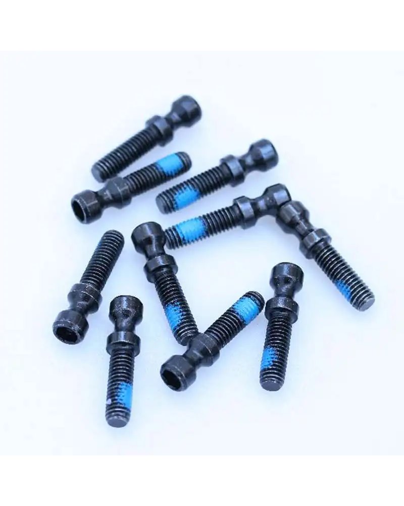 Magura Vite Bloccaggio Rapido X Evo2, T25 (10 pz)