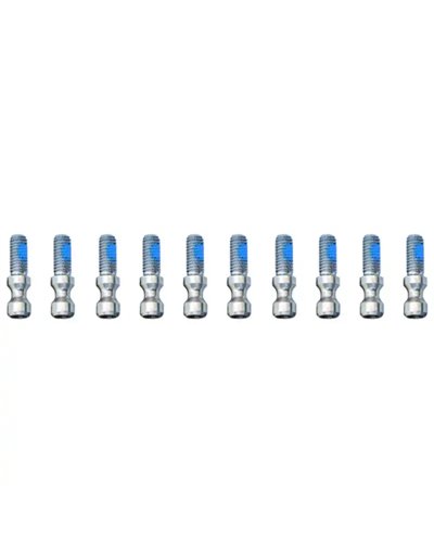 Magura Vite Bloccaggio Rapido X Firmtech (10 pz)