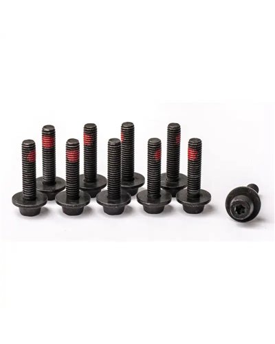 Magura Central Fixing Bolt Easy Mount Adapter, M6, Sw5, Torx T25 (Pack Of 10 Pcs)