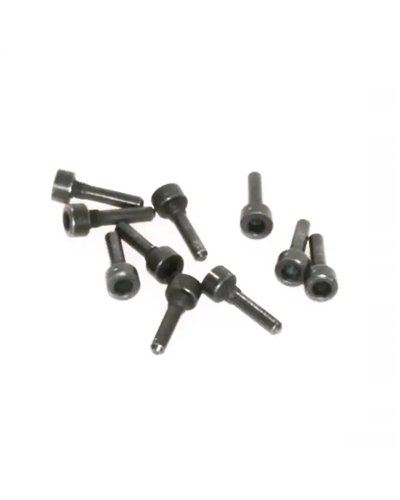 Magura Vite Supporto Firmtech (10 pz)