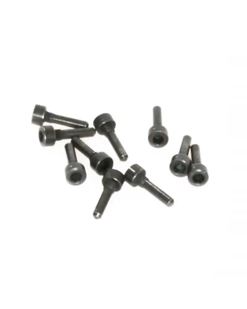 Magura Vite Supporto Firmtech (10 pz)