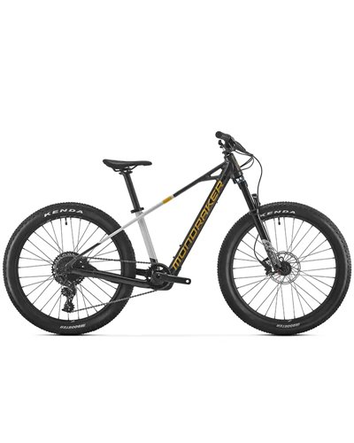 Mondraker Play 24 Sram NX 11s Mahle-Ebikemotion X-35 - 250Wh e-Bike, Vortex Grey