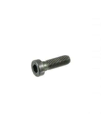 Oli e-Bike Systems Fixing Bolt Oli Sport