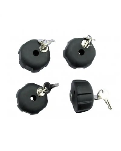 Peruzzo Kit Pomelli Antifurto con 2 Chiavi (4 pz)