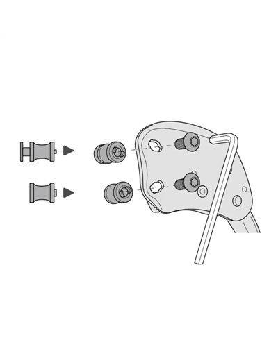 Petzl Assi Frizione per Chicane (2 pz)