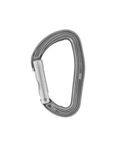Petzl Djinn Straight Gate Biner, Gray
