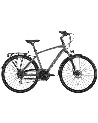 Atala Whistle Guipago 2050 Uomo Shimano Acera 8V Taglia M, Antracite/Ultralight Opaco