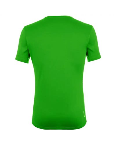 Salewa Sporty Graphic Dry Men's Speed Hiking Short Sleeve Tee, Pale Frog