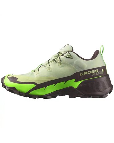 Salomon Cross Hike 2 GTX Gore-Tex Scarpe Trekking Uomo, Desert Sage/Green Gecko/Chocolate Plum