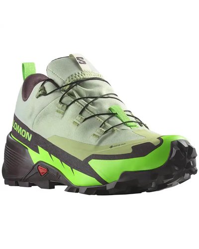 Salomon Cross Hike 2 GTX Gore-Tex Men's Trekking Shoes, Desert Sage/Green Gecko/Chocolate Plum