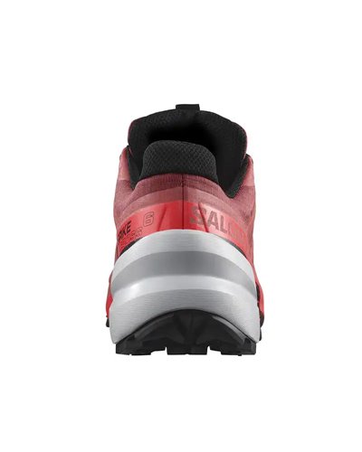 Salomon Spikecross 6 GTX Gore-Tex Scarpe Trail Running Unisex, Cow Hide/Black/Fiery Coral