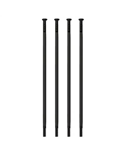 Sapim Raggio Race Inox Testa Diritta 300mm Nero con Nipple Ottone 12mm Nichelato (4 pz)