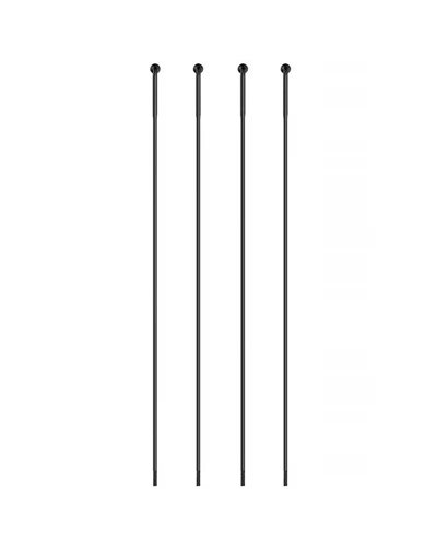 Sapim Raggio Strong Inox Testa J-Bend - 246mm, Nero (4 pz)