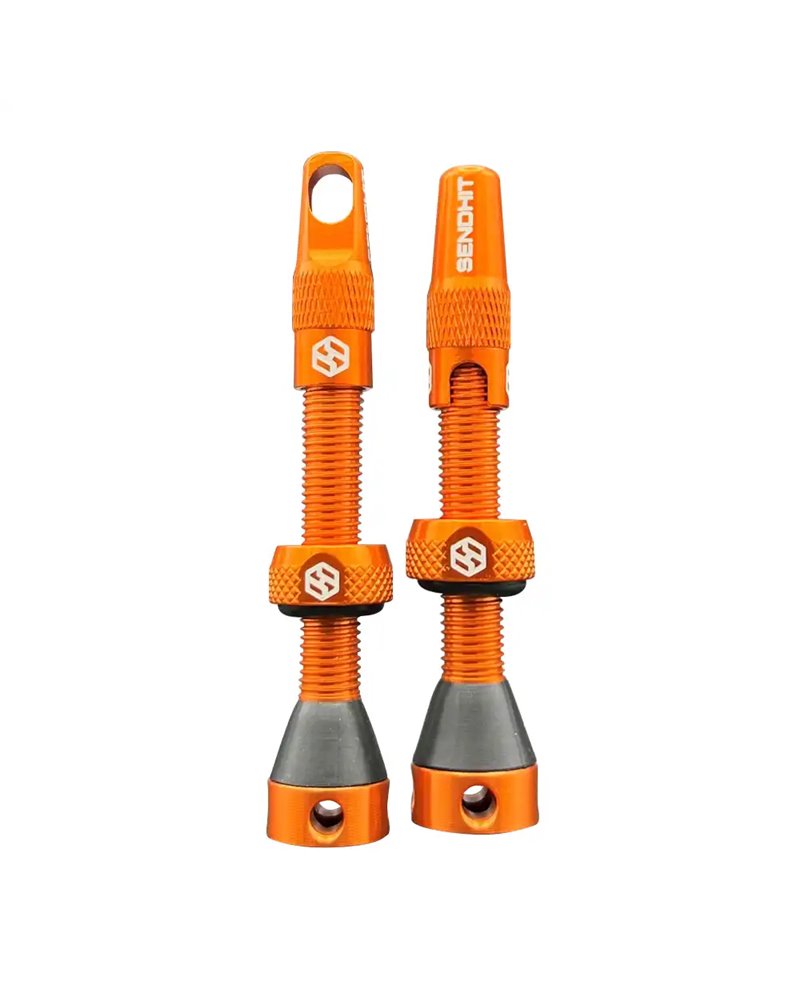 Tubeless Valve