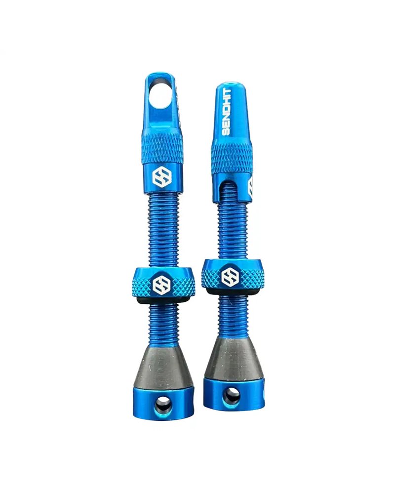 Tubeless Valve