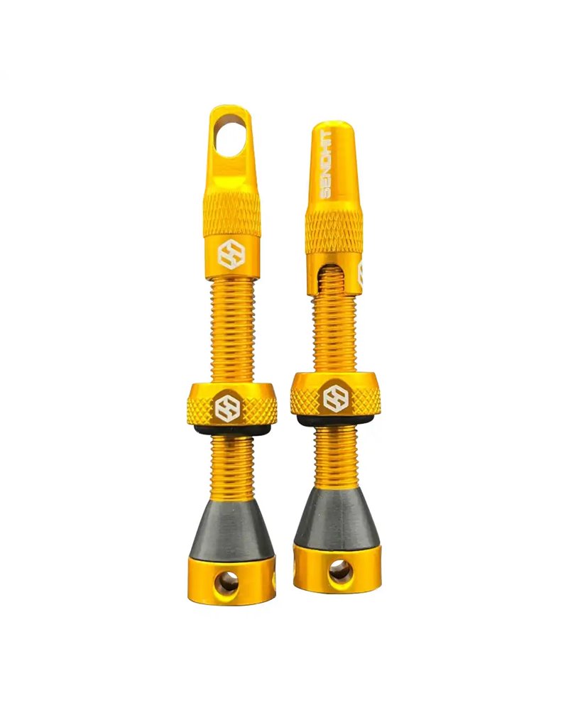 Tubeless Valve