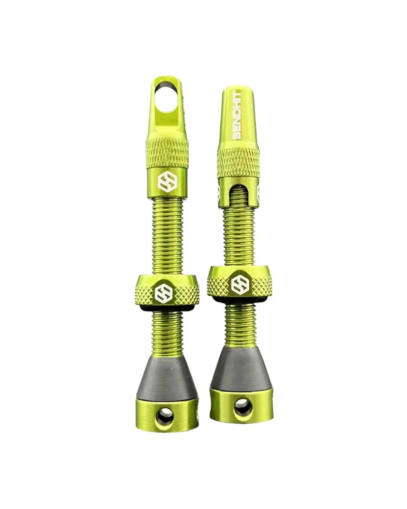 Tubeless Valve