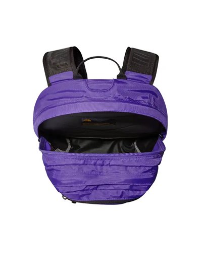 The North Face Borealis Classic Backpack 29 Liters, Peak Purple/TNF Black