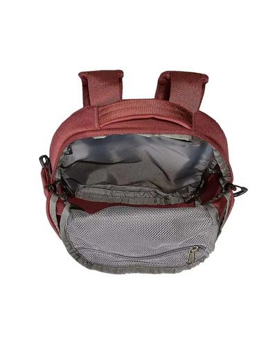 The North Face Borealis Mini Backpack 10 Liters, Canyon Dust Dark Heather