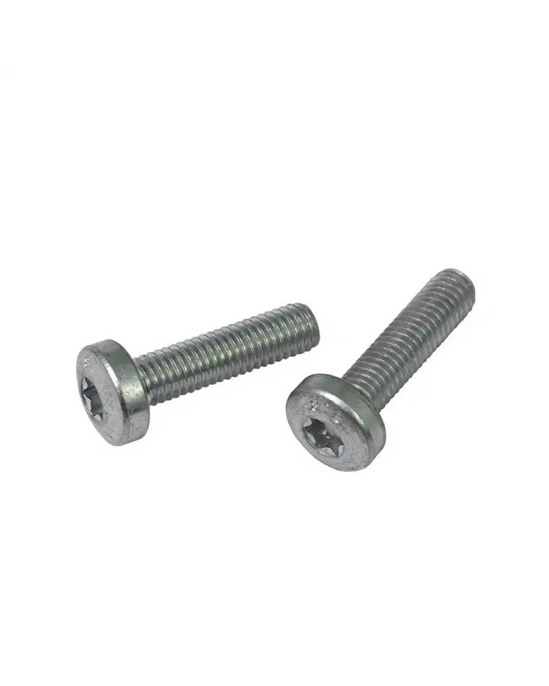 Bosch 1270016433 Torx Screw Set for Frame PowerPack M5X20, 2 pcs
