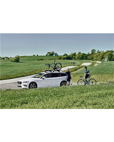 Thule FastRide 564 Portabici da Tetto, Nero