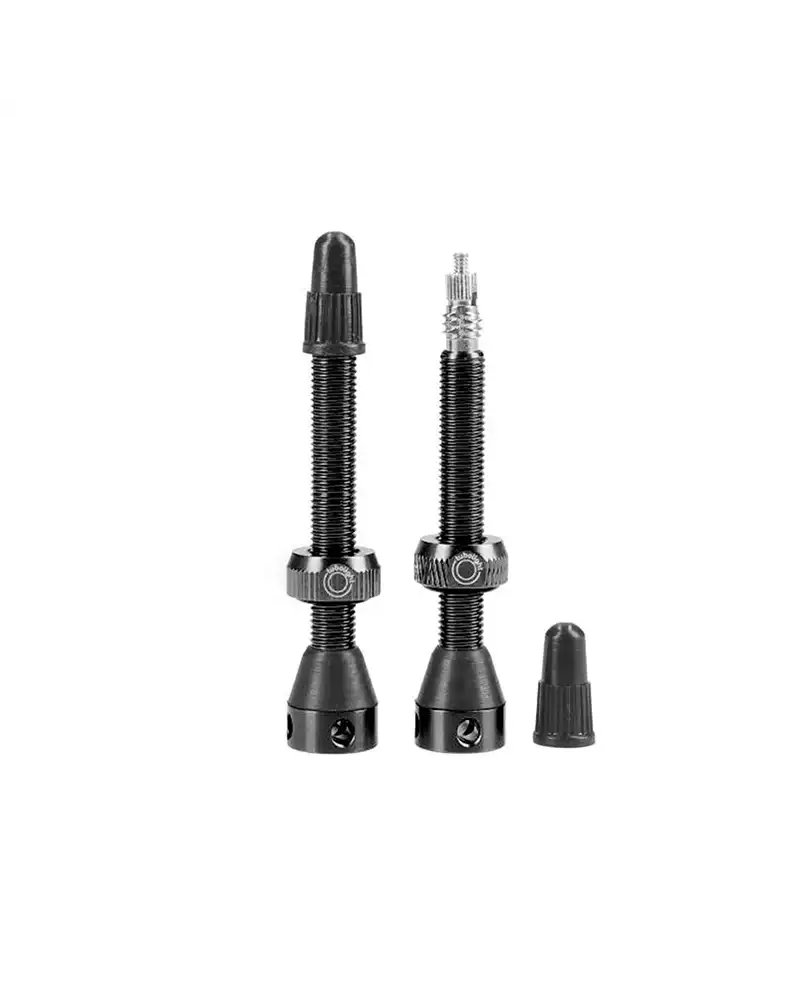 Tubeless Valve