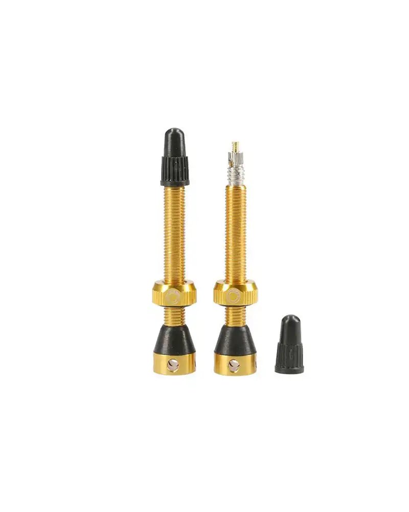 Tubeless Valve