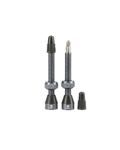 Tubolight Tubeless Valve 50mm, Grey (Pair)